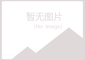 阜康埋没音乐有限公司